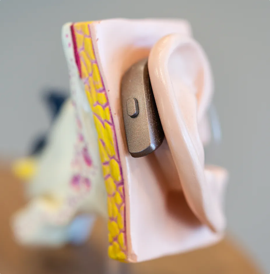 Maquette